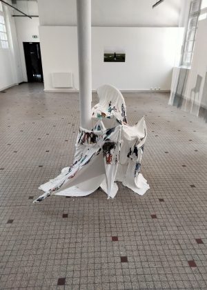 Lichen 2023